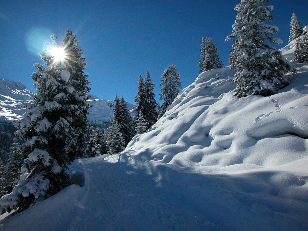 Hotel Alpina Vals Εξωτερικό φωτογραφία